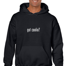 Load image into Gallery viewer, Got coolio ? Funny 90&#39;s Rap Music White Black Hoodie Hooded Sweatshirt
