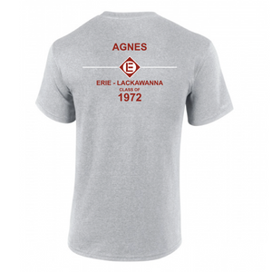 Agnes Erie Lackawanna Class Of 1972 Short Sleeve T-shirt